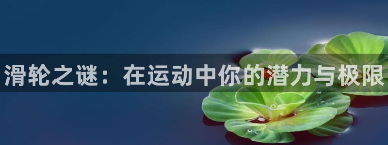 3377体育官方正版app集团:滑轮之谜:在运动中你的潜力与