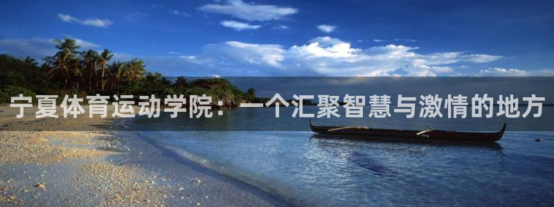 3377体育官方平台体育:宁夏体育运动学院:一个汇聚智慧与激