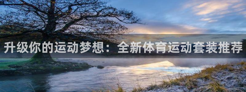 3377体育官方正版app集团官网网址:升级你的运动梦想:全