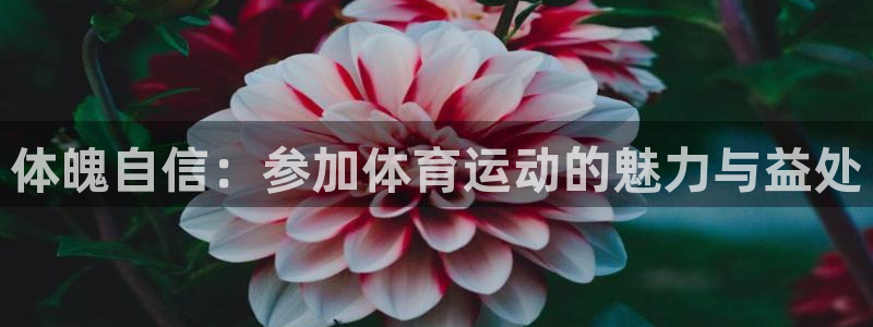 3377体育官网下载平台是正规平台吗安全吗:体魄自信:参加体