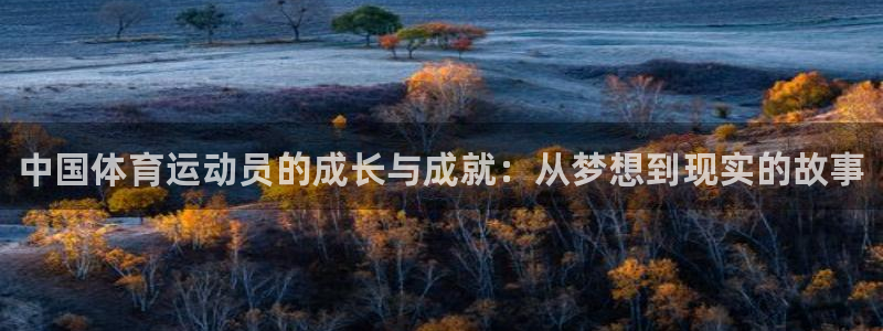 3377体育官网下载平台APP:中国体育运动员的成长与成就: